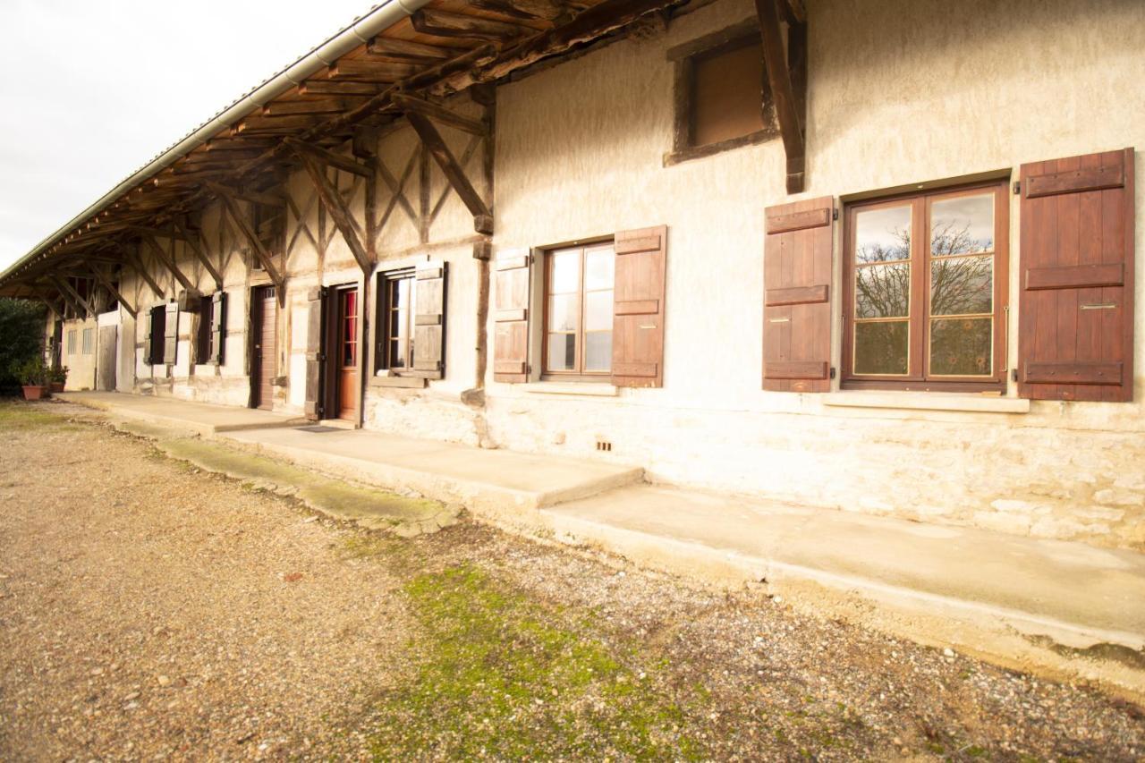 Ferme Bressane - 4 Chambres Saint-Etienne-du-Bois  Bagian luar foto